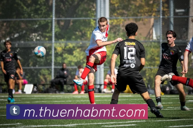 体育直播服务
